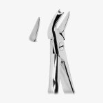 Extracting Forceps