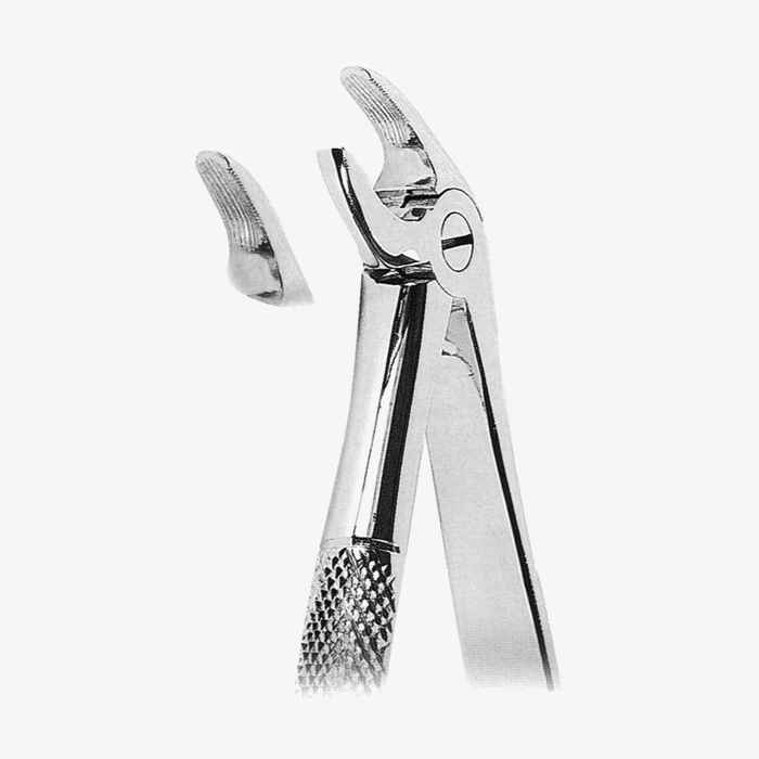 1008-Fig.-4_11_11zon-1.jpg Lower Incisors And Canies - Image 1