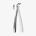 Lower Premolars