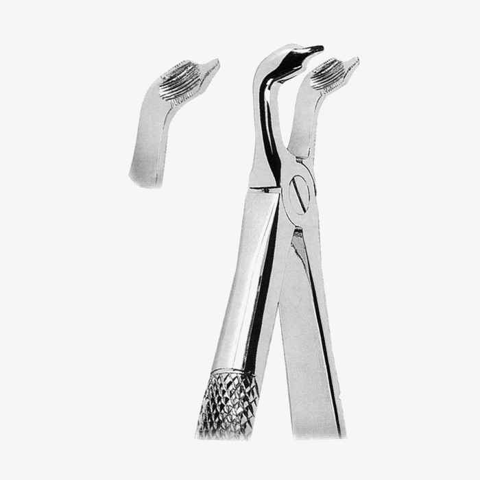 1066-Fig.-79C_57_11zon-1.jpg Extracting Forceps - Image 1