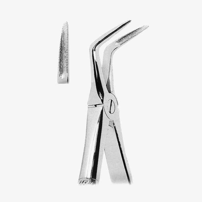 1077-Fig-145_65_11zon-1.jpg Extracting Forceps - Image 1
