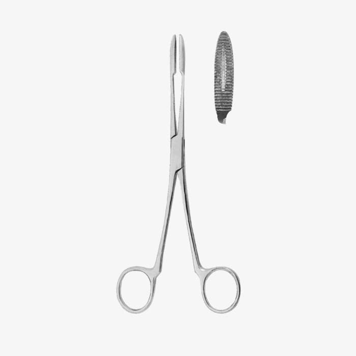 1466-min-1.jpg Dressing Forceps - Image 1