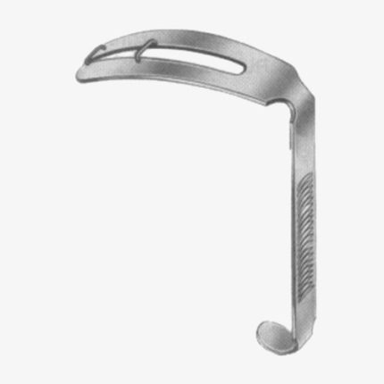 Modell Wurzburg Tongue Depressors