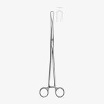 Rotunda Forcep