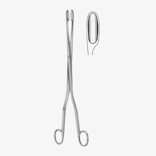27-6509-01t27-6510-03-min-1.jpg Winter Placenta Ovum Forceps SJ - Image 1
